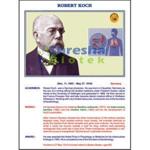 PHYSIOLOGY MODELS AND POINEERS