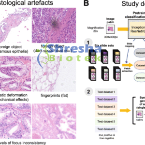 PATHOLOGY CHARTS AND POINEERS