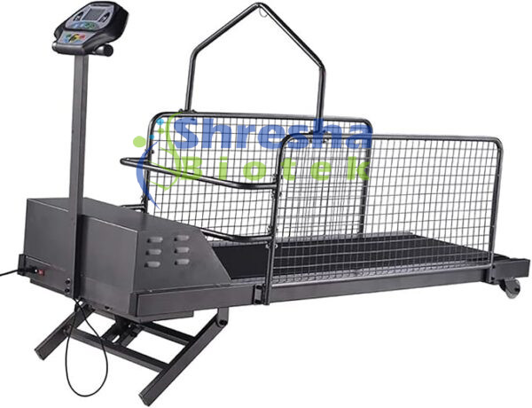 Dog Treadmill