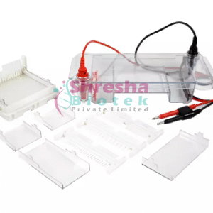 Mini Horizontal Electrophoresis System for DNA and RNA gel electrophoresis in laboratory applications.