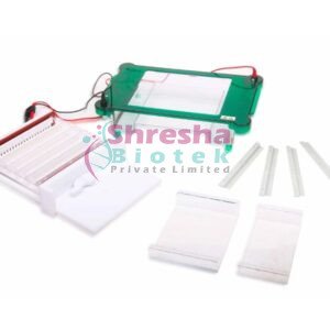 DR-BI-HE-2020   HORIZONTAL ELECTROPHORESIS
