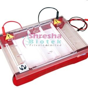 DR-BI0086 MAXI HORIZONTAL ELECTROPHORESIS