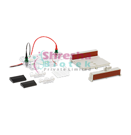 DR-2707 MINI HORIZONTAL ELECTROPHORESIS