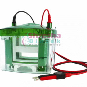 DR-8001 VERTICAL ELECTROPHORESIS