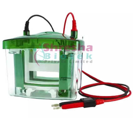DR-8001 VERTICAL ELECTROPHORESIS